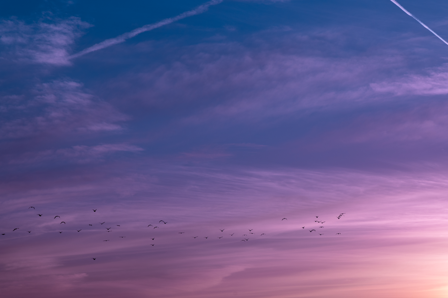 Beautiful Skies