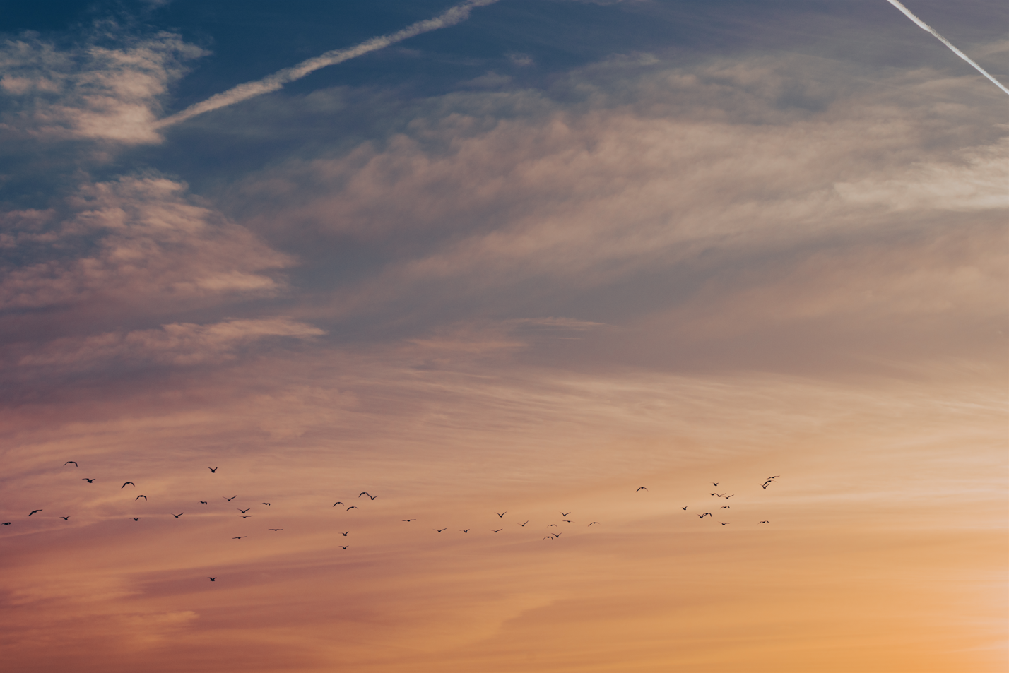 Beautiful Skies