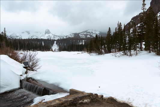 Frozen Mammoth