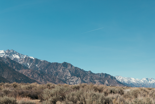 Mammoth Mountain