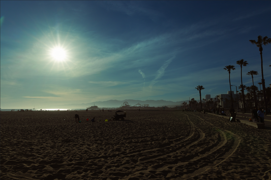 Beach Vibes