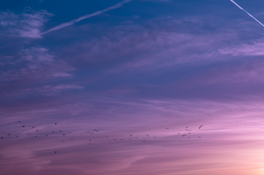 Beautiful Skies